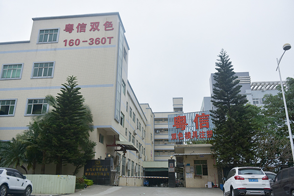 团队