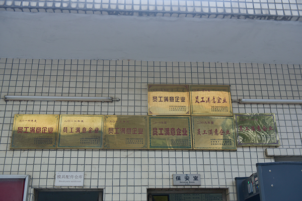 团队