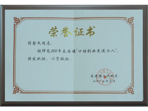 长安镇十佳创业先进个人